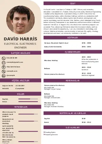 cv indir